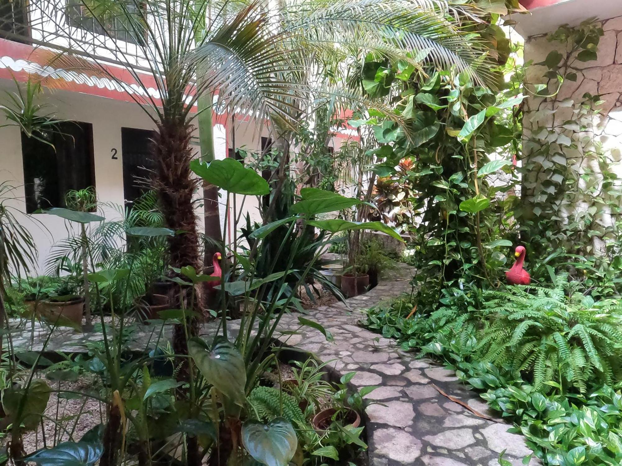 Hotel Quinta Marciala Mx فالادوليد المظهر الخارجي الصورة